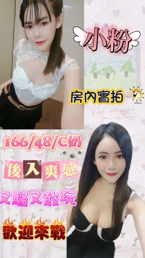 台北定點茶-小粉