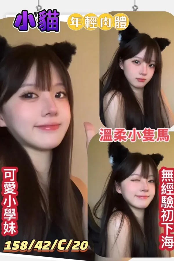 高雄定點茶-小貓